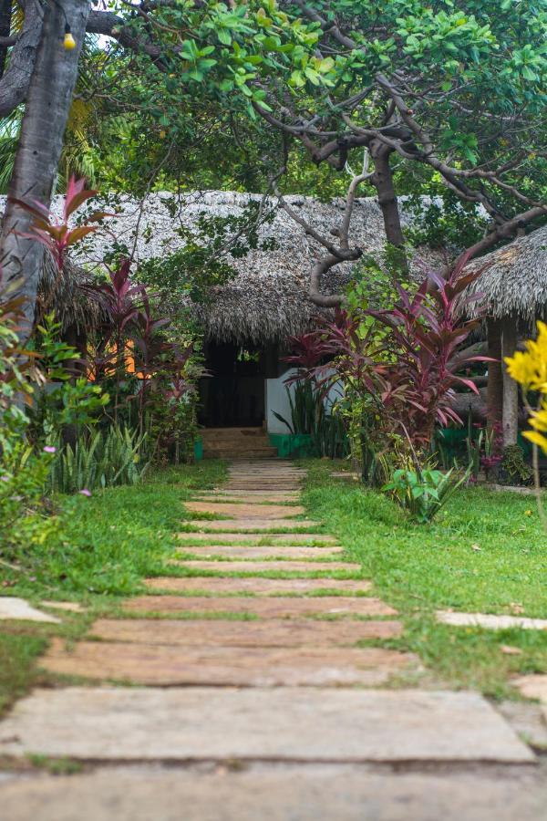 Hotel Ciamat Camp Santo Amaro do Maranhao Exteriér fotografie